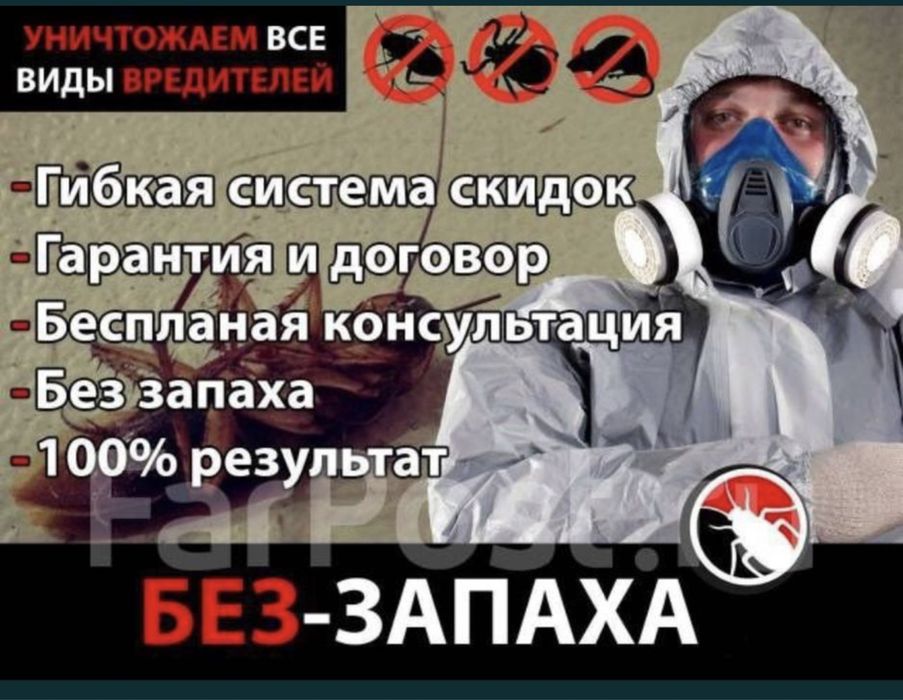 Дезинсекия от клещ блохи клопы