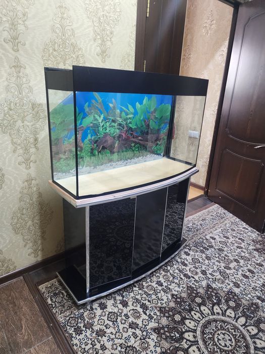 Akvarium 250 litr srochna sotiladi dastavka tekin