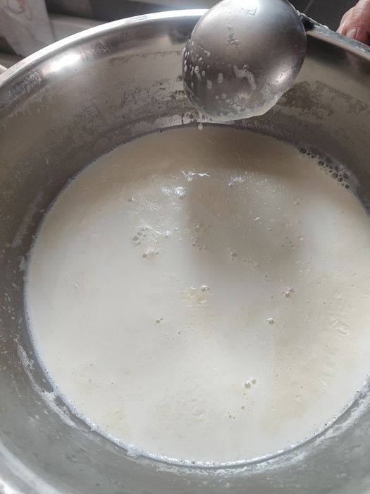 Домашний коровье молоко
