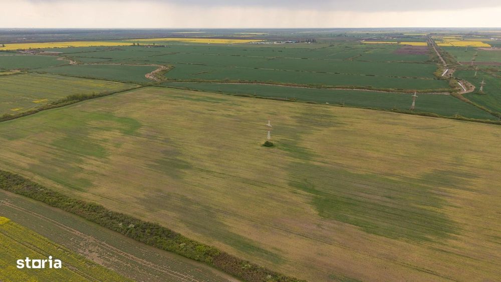 Teren investițional strategic 44.700 mp Arad Vest