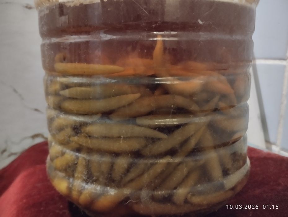 Обмен перчики острые