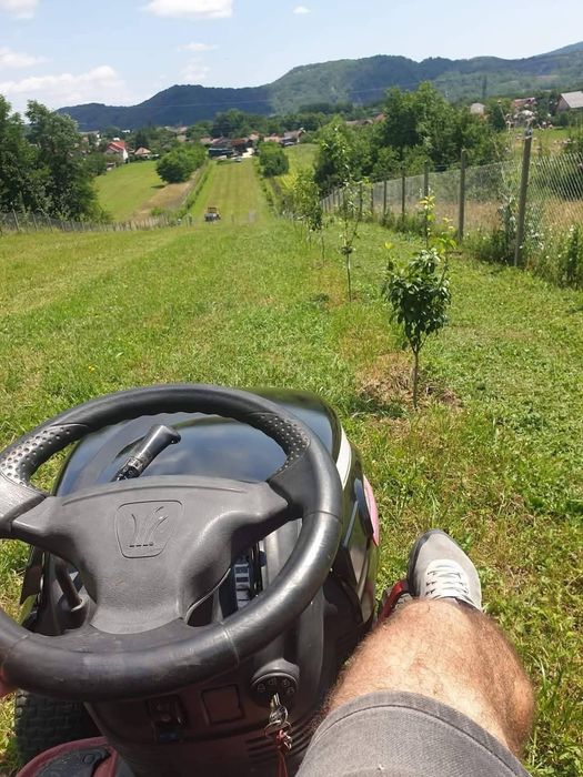 Intretinere spatii verzi,vegetatie parcuri fotovoltaice.Firme,curți.