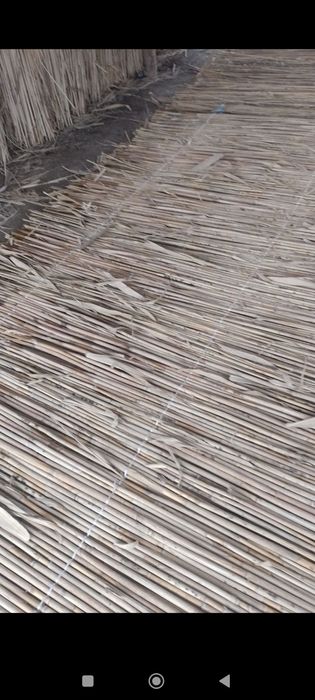 Камыш сотилади...