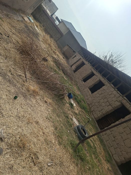 Продается дом  в сарагаше