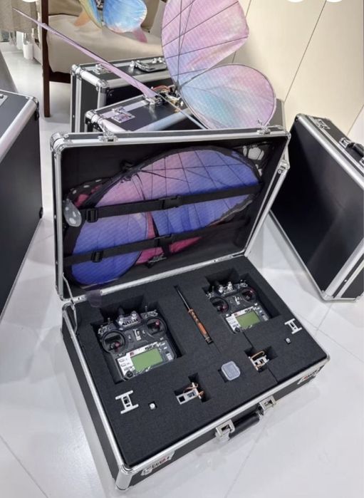 Летающий бабочка