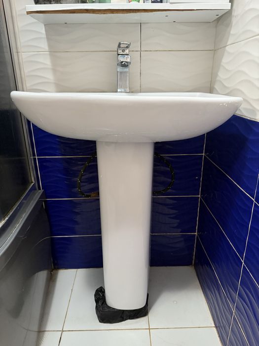 Раковина иранская