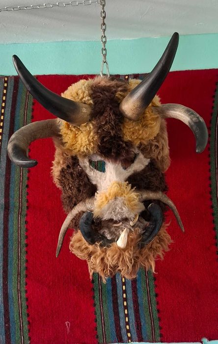 Сурвакарски, кукерски маски