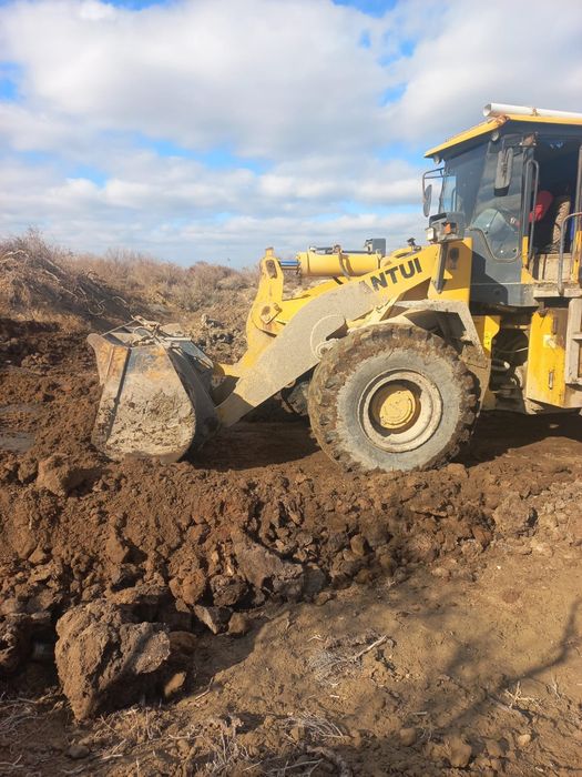 Навоз бар  шириген кон!