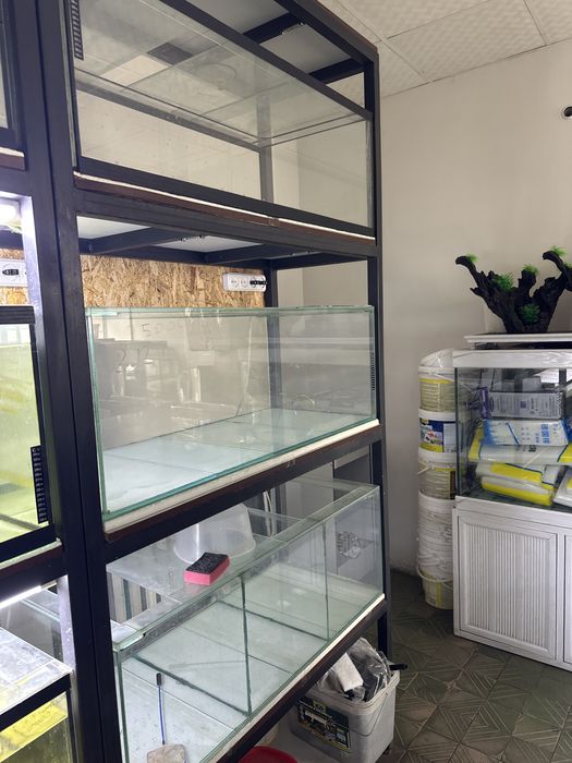 Аквариумы б/у срочно