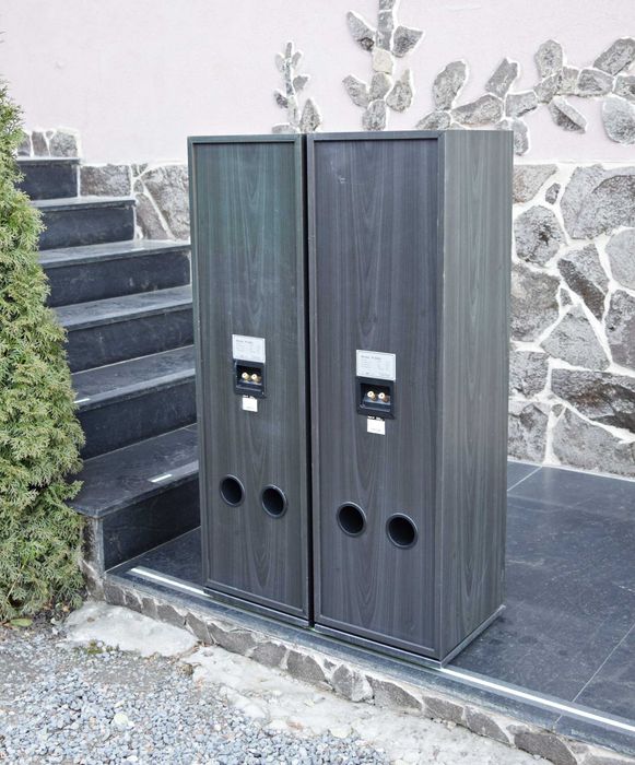 Boxe Dantax P-3000, boxe de podea