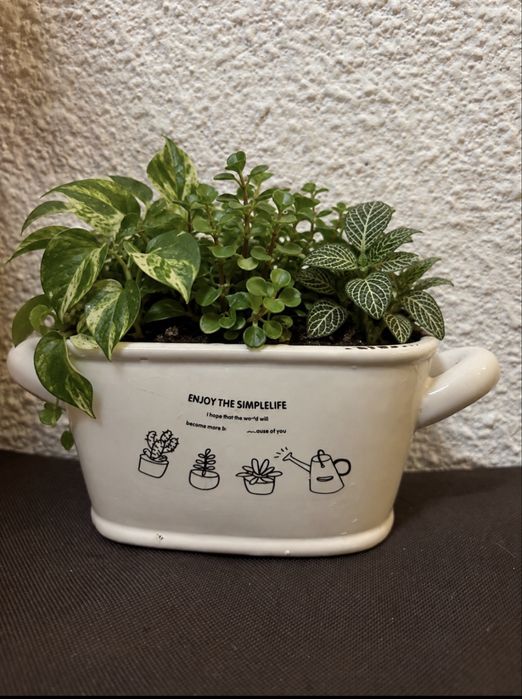 Ghiveci vintage decorativ