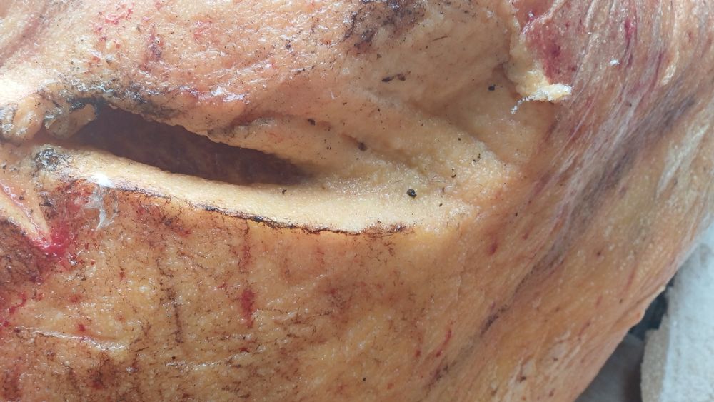 Мясо  конина продам