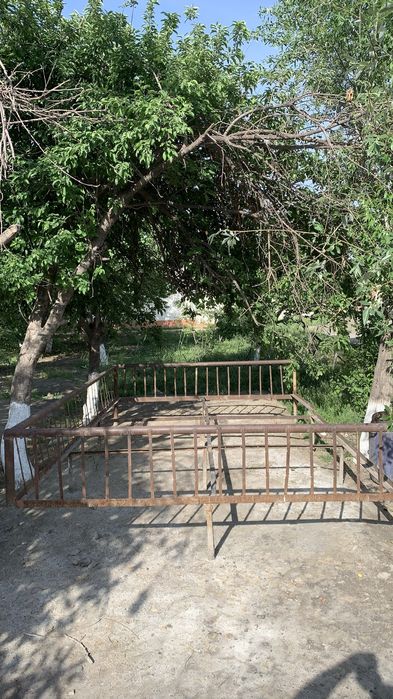 Chorpiya 5metr taxtasi yoq keliwamiz