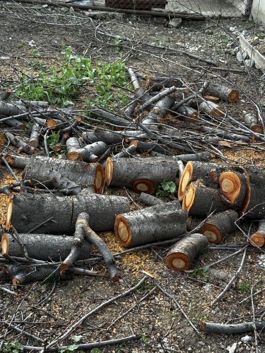 Продам дрова от фруктовых деревьев