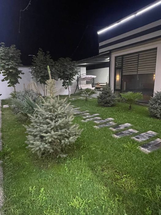 Gazon palif tomchilab suĝorish daraxt ekish