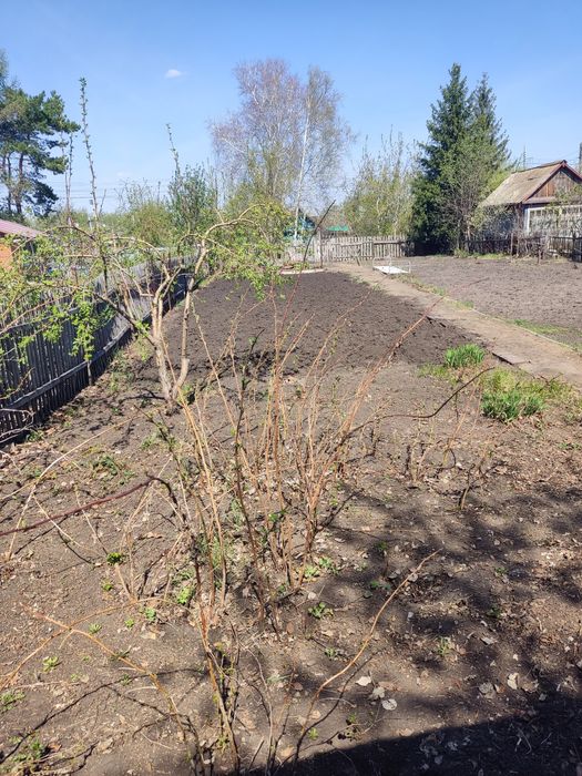 Продам дачу, ДС Путеец, 131 км