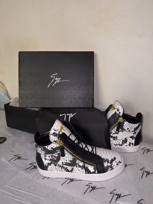 Giuseppe Zanotti