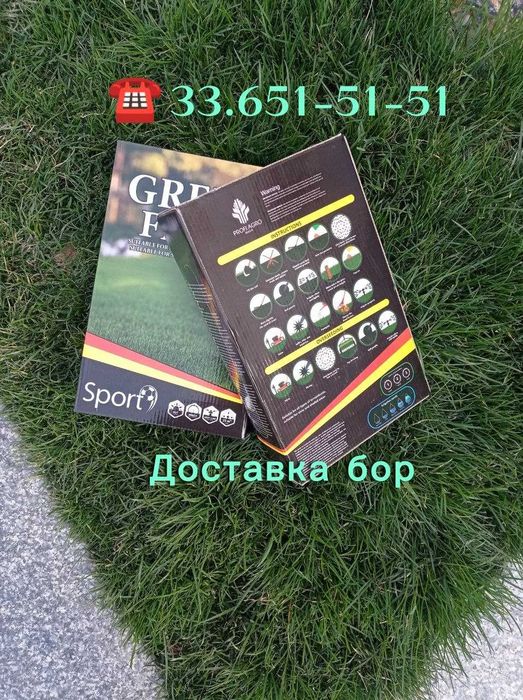 Green Field спорт газон уруғи, Сифатли ва ишончли газон, Доставка бор
