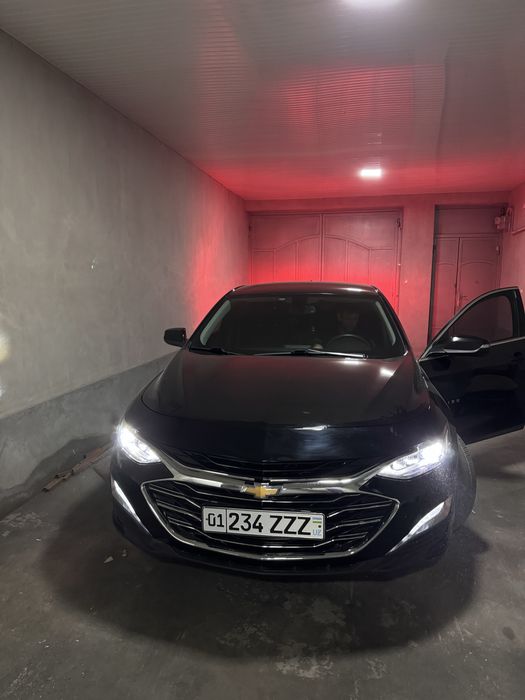 Malibu 2 Premier Morda