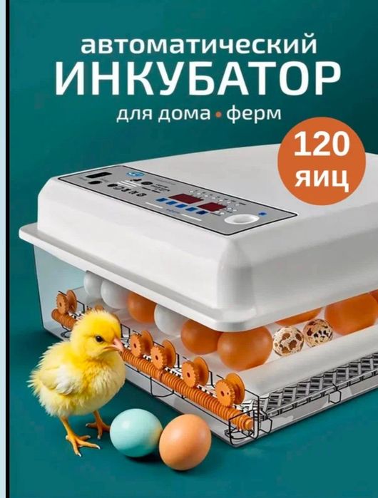 Inkubatorlar muddatli toʻlovga sotiladi 6 oyga
16..30..36..64..120.. t