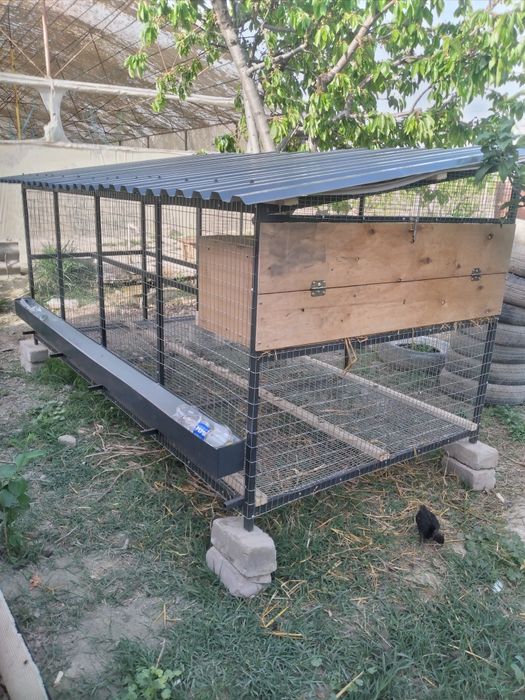 Товук катак сотилади заказга ясабам бераман