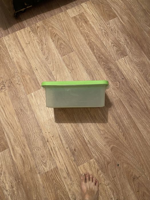 Лоток для кошек