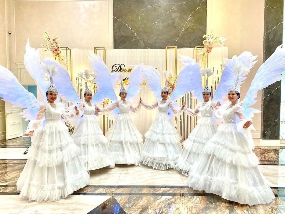 Веер диодный под заказ