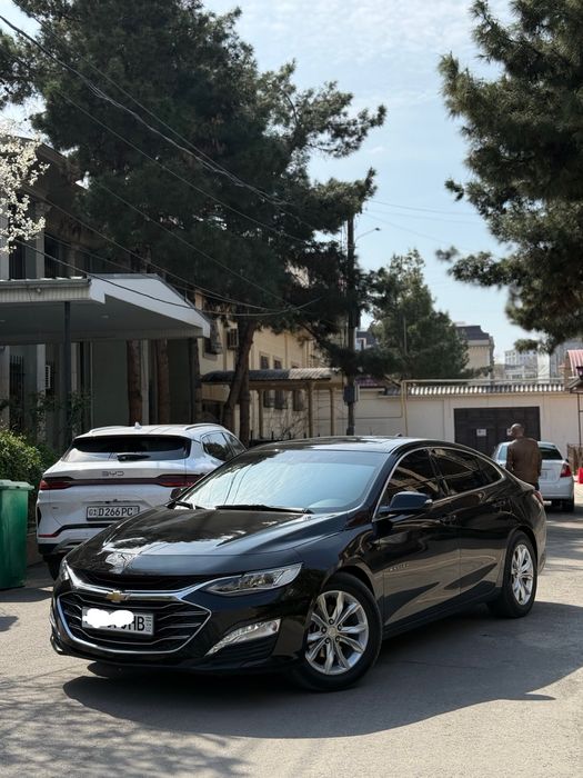 Malibu 2 premer 2022 qora kraska tozza masla