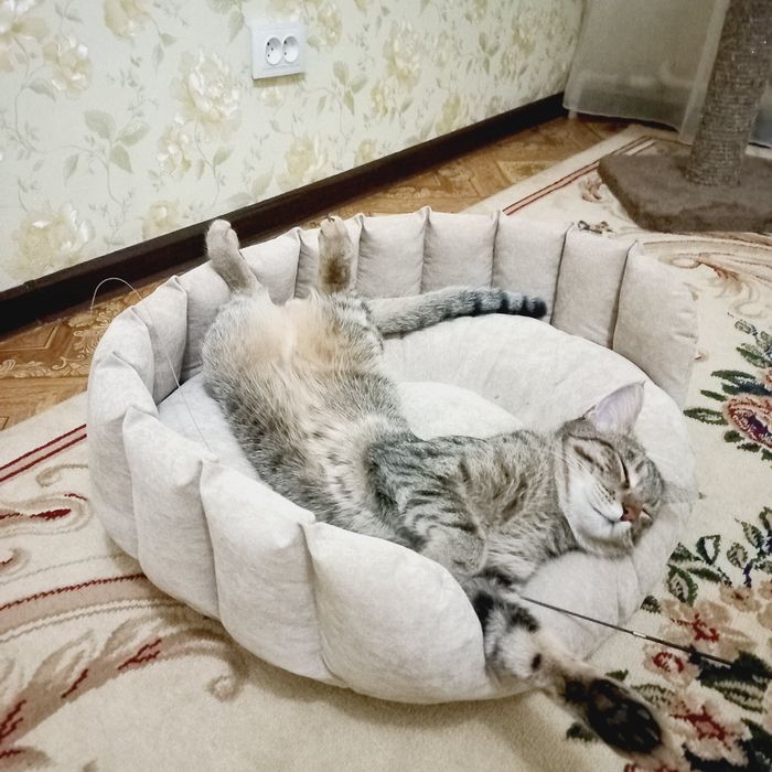 Catbeds and dogbeds