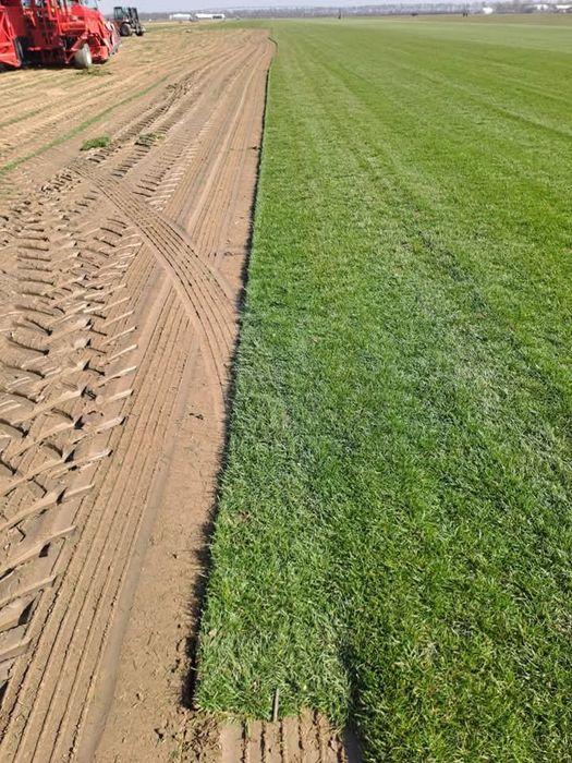 Gazon rulou și sistem de irigatii