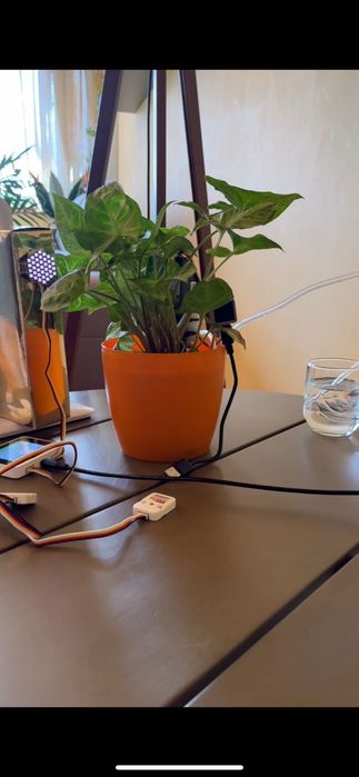 Sistem irigare automat plante camera Kit Smart Garden/loT cu Wio Terminal-sistem automat de udare plante