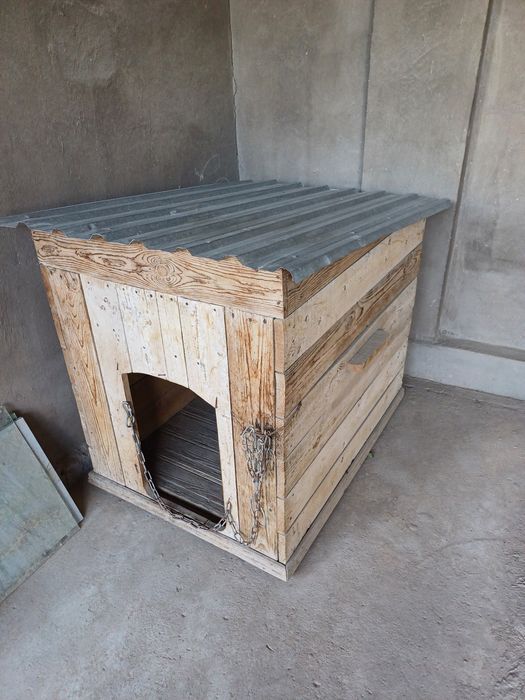 Katta kuchuklar uchun in