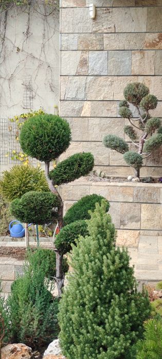 Градинарски услуги и аранжиране на градини с отношение към клиента