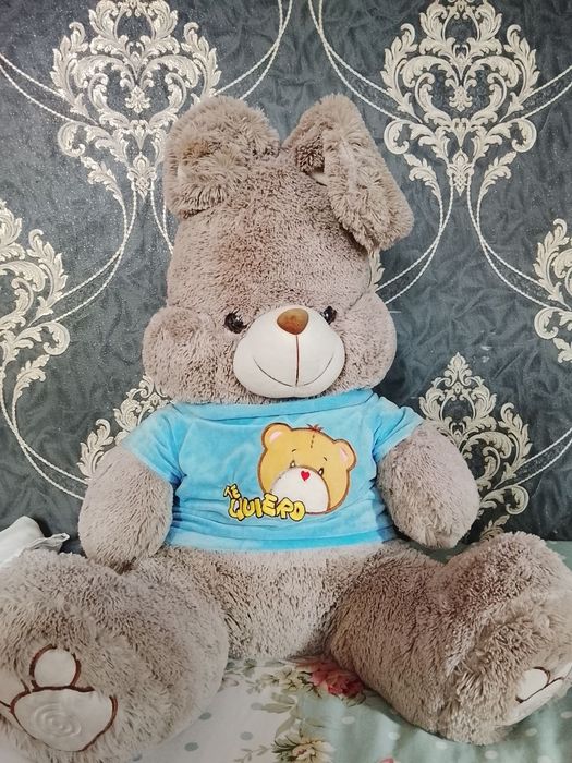 Teddy quyonchaaa