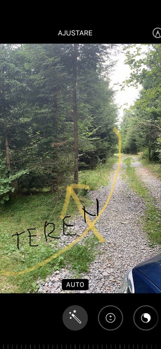 De vânzare teren la munte, zona Liban, Harghita, în apropiere lacul Zetea, 6 €/mp, negociabil în functie de suprafată.