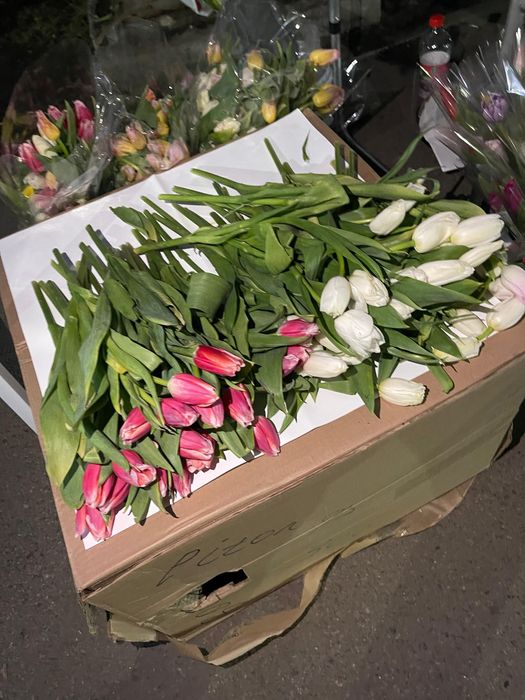 Тюльпаны от 51,101штук 200тг последние 1000шт