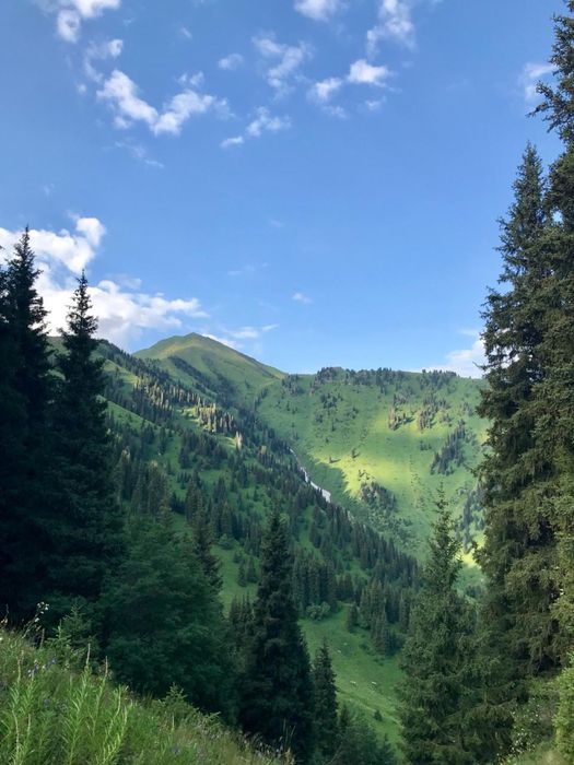 Дом в аренду «Дом у гор»