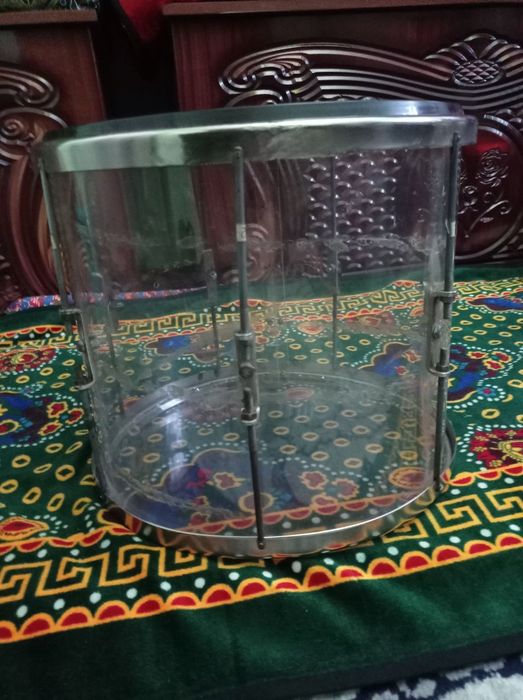 Dovul sotiladi srochna