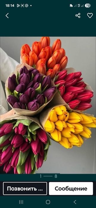 Продажа тюльпанов