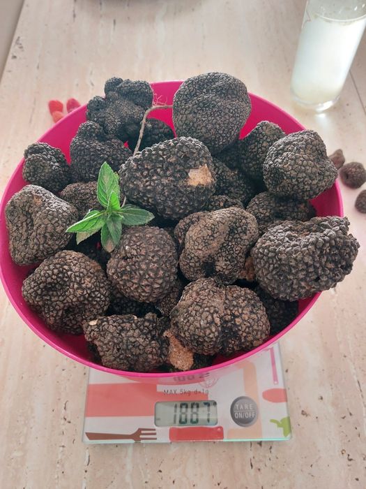 Trufe proaspete fresh parfumate savuroase