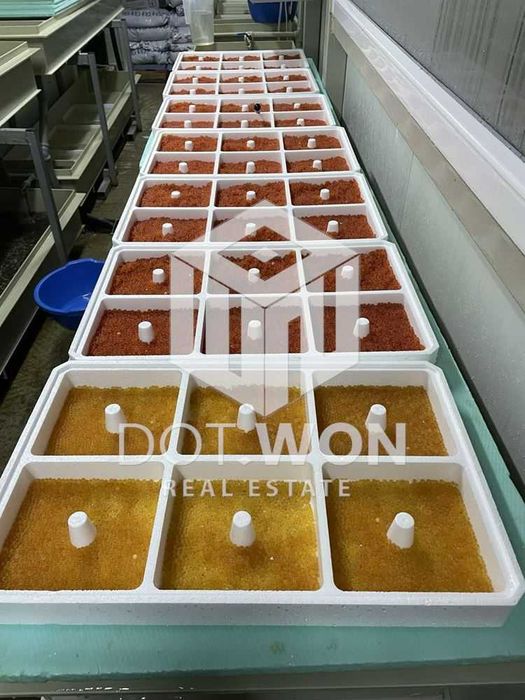 Продава се Промишлена сграда в с. Искрец, Област София-област - 1480 кв.м за 325 €/кв.м - Снимка #7