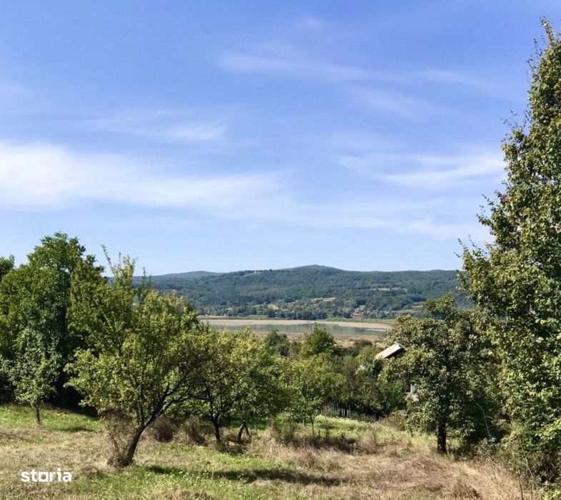 Teren vedere panoramica lac si dealuri Zigoneni, la padure, A1 Curtea