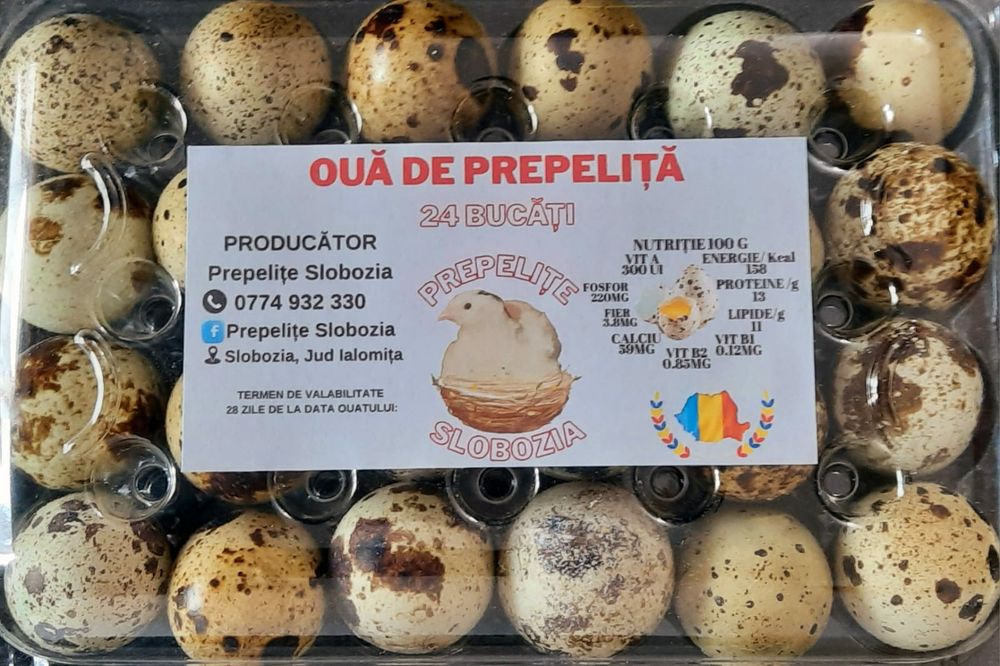 OUĂ TOP de Prepeliță PT INCUBAT  din 7 specii, LIVRARE TOATĂ ȚARA