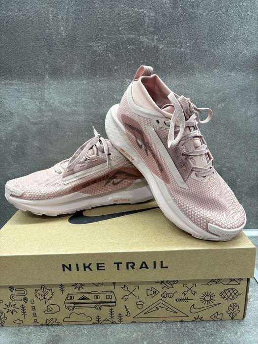 Nike Pegasus Trail 5 GTX
