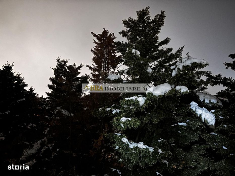 Studio gata de mutat loc de parcare, inclus