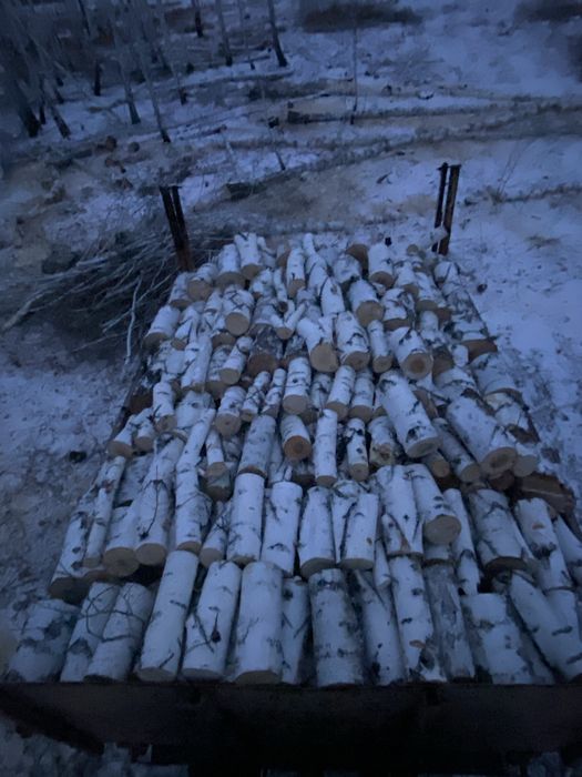 Продам дрова березы