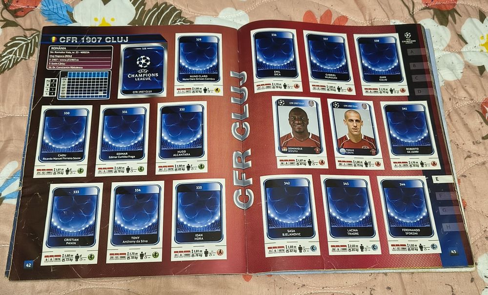 Albume UCL Panini
