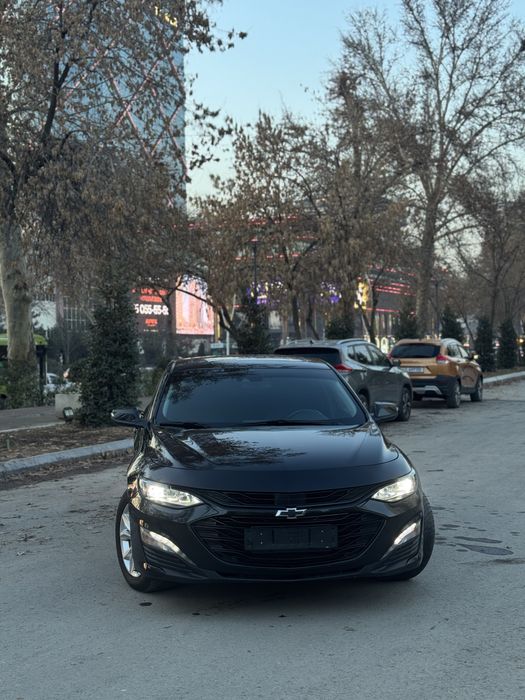 Malibu 2 xl 2023 kraska tozza