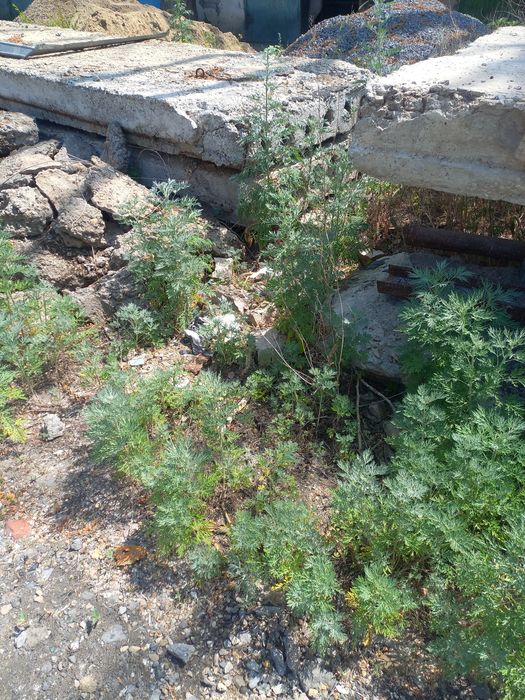 Плиты перекрытия