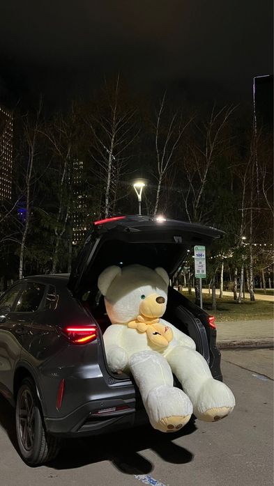 Ноп новый 2 метр Мишка